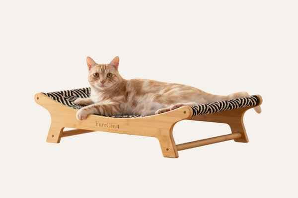 Cat Scratcher Bed