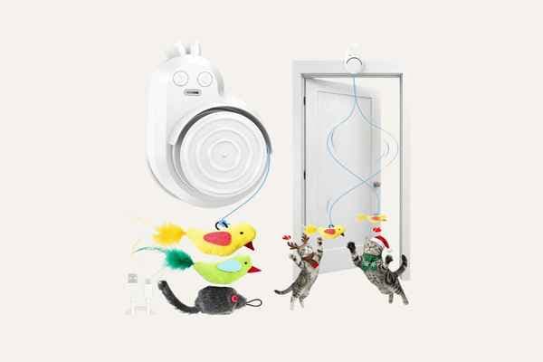 Interactive Cat Toys