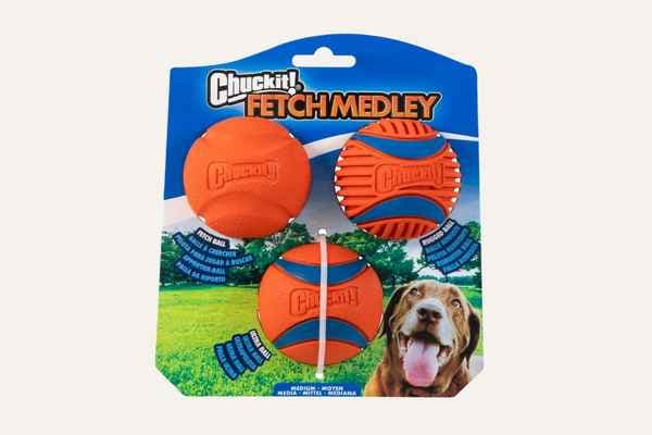 Dog Ball