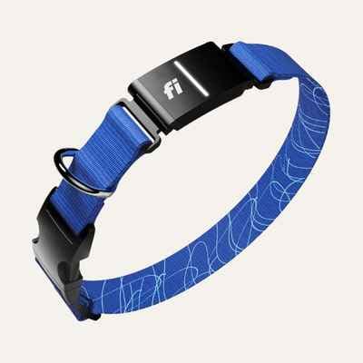 Fi New Series 3+ Smart Dog Tracker Collar