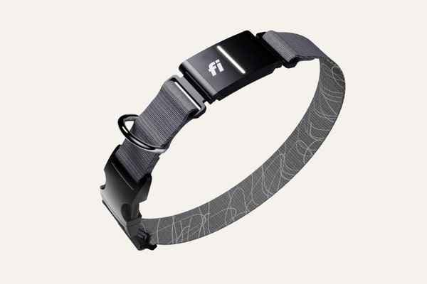 Fi Dog Collar