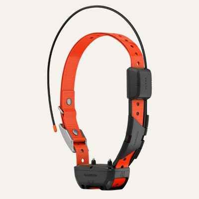 Garmin Alpha TT 25 GPS Dog Tracking and Training Collar