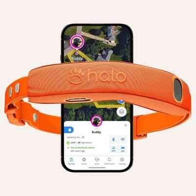 Halo Collar 5 Wireless Dog Fence and GPS Collar